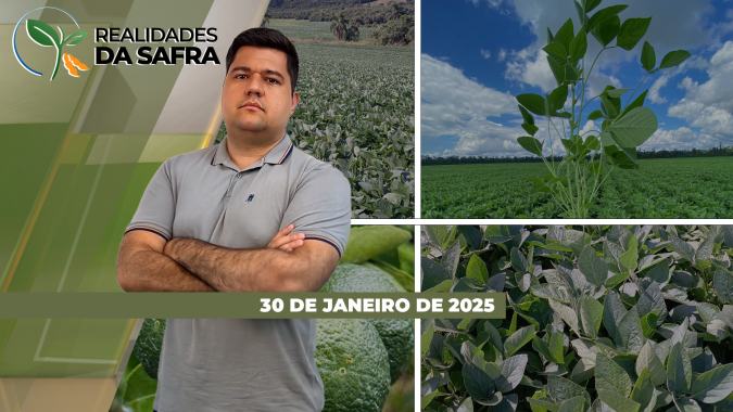 Colheita da soja avança com perdas em Aral Moreira/MS e começa com dificuldades em Querência/MT