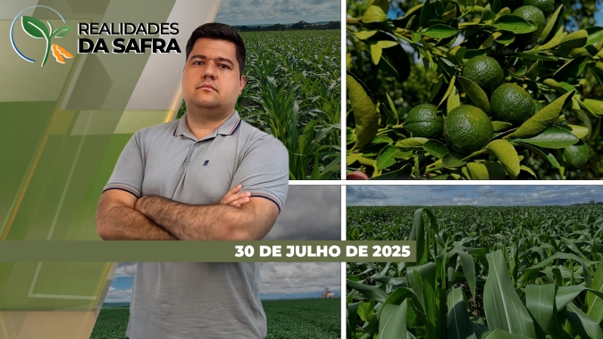 Colheita do milho perto do fim em Aral Moreira/MS e ganhando ritmo no Paraná