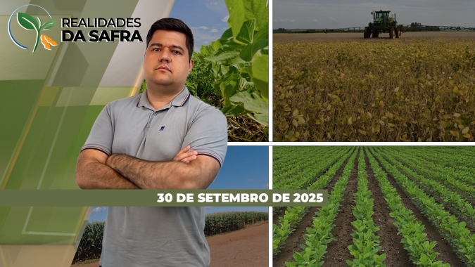 Plantio da soja avança após chuvas dos últimos dias em Campo Novo do Parecis/MT e Laguna Carapã/MS