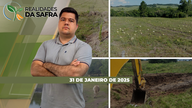 Estiagem traz grandes prejuízos em Encruzilhada do Sul/RS, mas Santa Catarina espera maiores safras da história