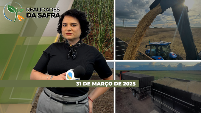 Realidades da Safra 31/03/2025 - Falta de chuvas prejudica arranque no milho no PR; Darcinópolis (TO) recebe boas chuvas para o milho; colheita da soja começa em São Borja (RS), já estimando perdas