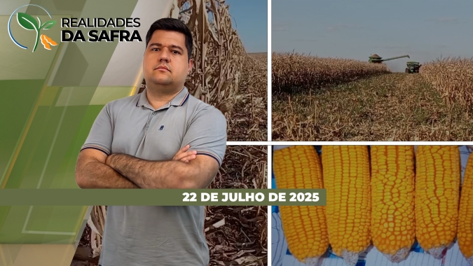 Safra de milho perto do fim em Tocantins, que espera resultados recordes