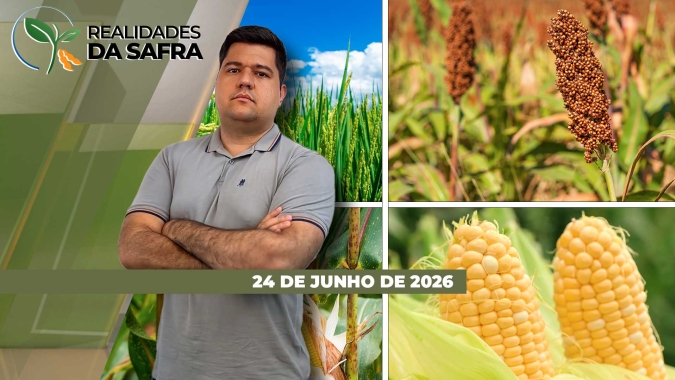 Chuva atrapalha colheita do milho no Paraná e preocupa para a sequência do trigo no Rio Grande do Sul