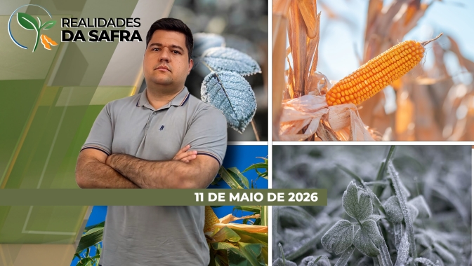 Fim de semana de temperaturas baixas causou geadas em Carazinho/RS e Pato Branco/PR