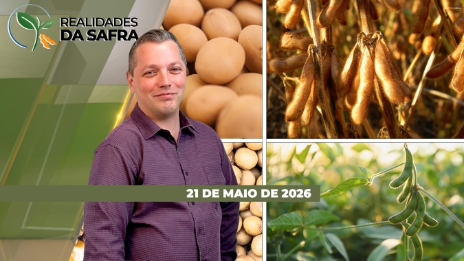 Agro em atenção: PL do endividamento rural e eventos climáticos extremos em 2026 estão no radar dos produtores