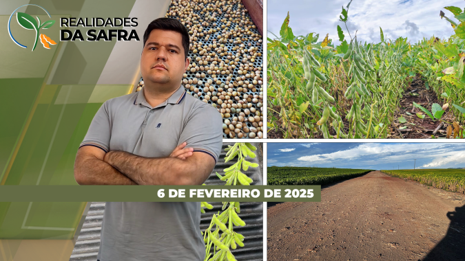Chuva dificulta a colheita da soja em Campo Novo do Parecis/MT e em Goioerê/PR