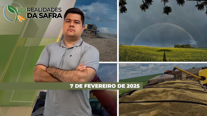 Chuva impede avanço da colheita da soja em Goiás, Paraná e Mato Grosso