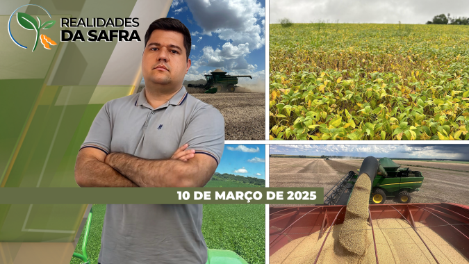 Colheita da soja com resultados abaixo do esperado em Guaíra/SP e Doutor Camargo/PR; arroz também perdeu em São Borja/RS
