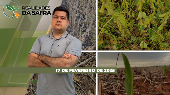 Colheita da soja segue avançando pelo Brasil, mas produtividades do Paraná, Caarapó/MS e Jataí/GO estão menores do que o esperado