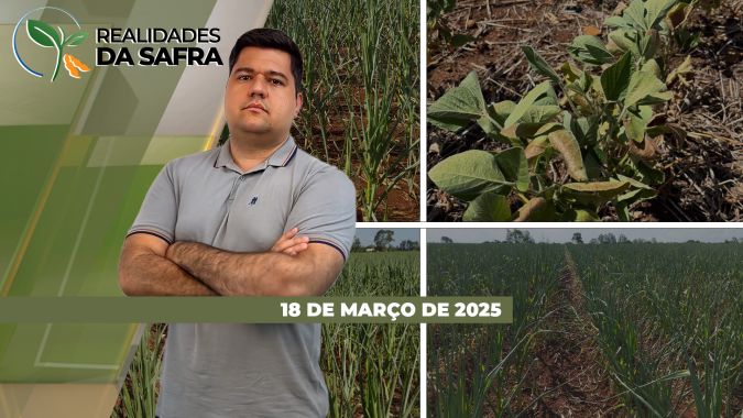 Chuva cai em Nova Xavantina/MT e ajuda as lavouras, mas falta dela prejudica áreas no Oeste do Paraná