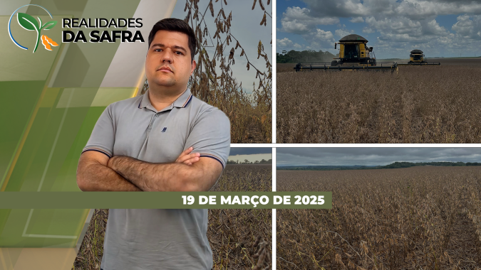 Calor e falta de chuvas já trazem perdas para o milho segunda safra em Machado/MG e Pato Branco/PR