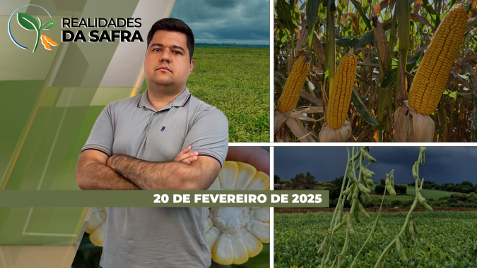 Colheita da soja deslancha no Mato Grosso com aumento de produtividade, Goiás se consolida como grande produtor e Bahia espera elevar produção de algodão