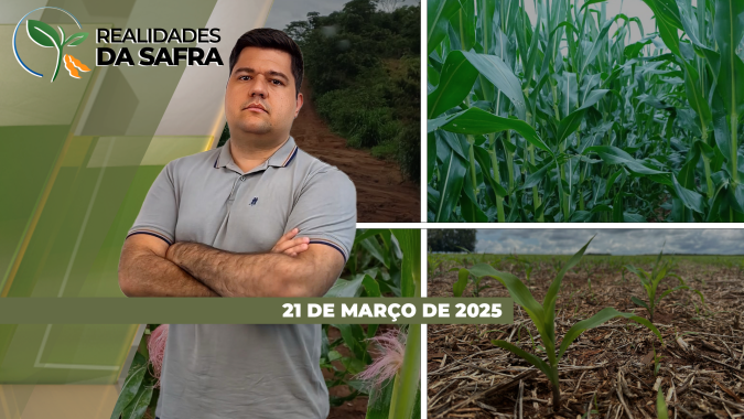 Falta de chuvas segue trazendo prejuízos no Rio Grande do Sul e Oeste do Paraná