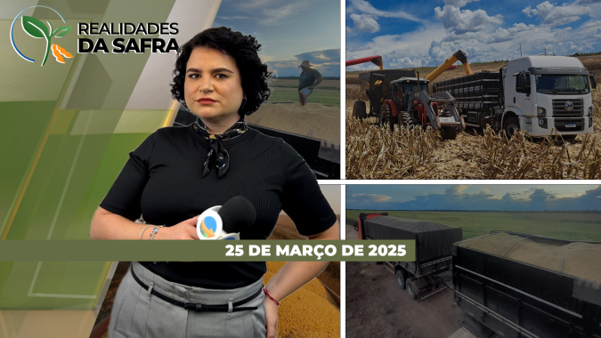 Realidades da Safra 25/03/2025 - Área de canola deve aumentar no RS; chuvas aliviam campos de milho em Ipameri (GO); atraso na semeadura da segunda safra de milho em Maracaí (SP)