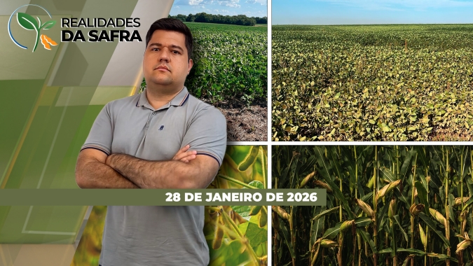 Colheita da soja avança com bons resultados em Campo Novo do Parecis/MT, mas lavouras sofrem com a falta de chuvas em São Borja/RS
