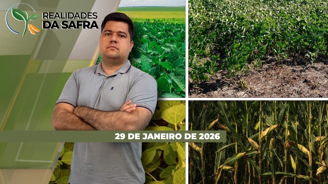 Colheita da soja começa com queda de produtividade em Rondonópolis/MT, mas deve apresentar bons resultados em Madre de Deus de Minas/MG