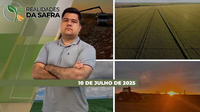 Colheita do milho perto do fim em Tapurah/MT e Santa Catarina, enquanto trabalhos começam a ganhar ritmo em Jataí/GO