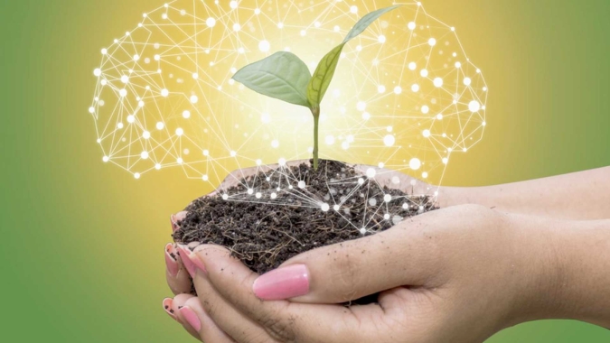 Indicador de Conectividade Rural auxilia na compreensão sobre a cobertura digital no agro brasileiro