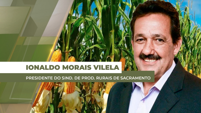 Mineiros/GO tem 40% do milho fora da janela ideal e com potencial produtivo em risco