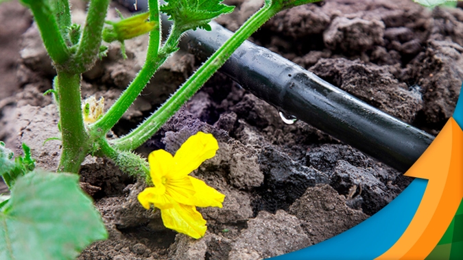 Tecnologias disponíveis para aplicações em fertirrigação e hidroponia, focadas na produtividade e sustentabilidade