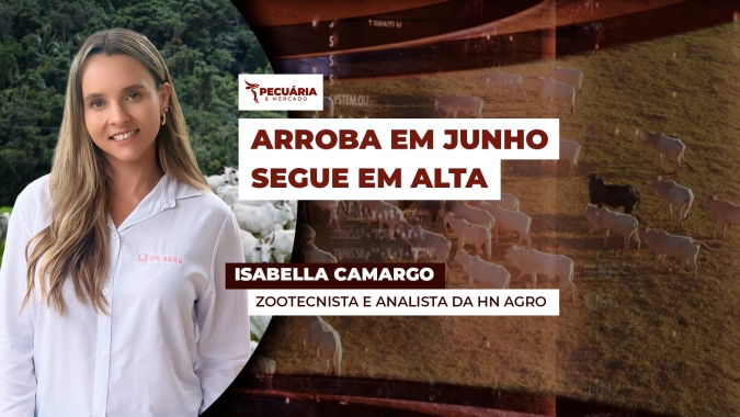 Demanda firme, menor oferta de animais e encurtamento das escalas trazem cenário positivo para a arroba