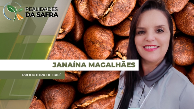 Clima afetou o desenvolvimento dos grãos de café em Lambari/MG