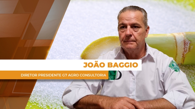 Preços internacionais sentem pressão de safra robusta e chegam a 13 cents em NY