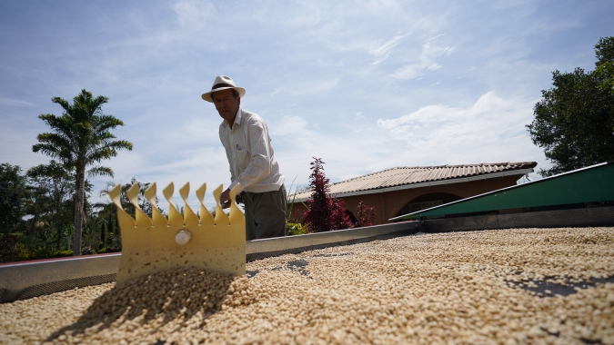 Entre os 5 maiores produtores de café do mundo, apenas a Etiópia ainda não importa do Brasil; Demanda na China também merece atenção