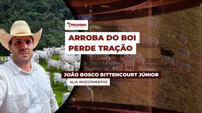 Preços da arroba estão estagnados, mas com previsão de ajustes para o início de julho