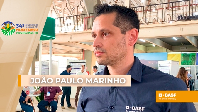 Segunda safra de milho em 25 deve ter retomada de área e investimentos