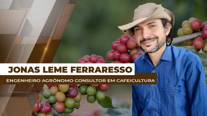 Clima compromete o desenvolvimento da produção de café no Brasil nas últimas safras