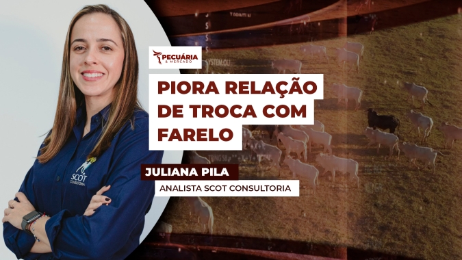 Relação de troca  entre boi gordo e farelo de soja piora em maio