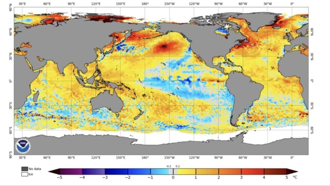 MetSul destaca que principais modelos meteorológicos mantêm novo La Niña e alerta para riscos no milho