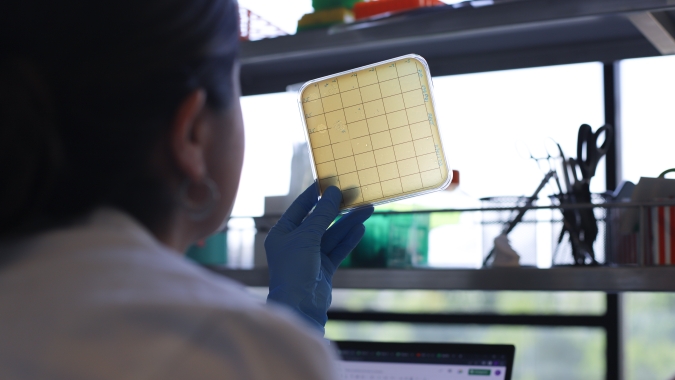 No SIAVS 2024, PhageLab apresenta pesquisa inédita realizada no sul do Brasil com uso de inteligência artificial e fagos para sustentabilidade da agroindústria