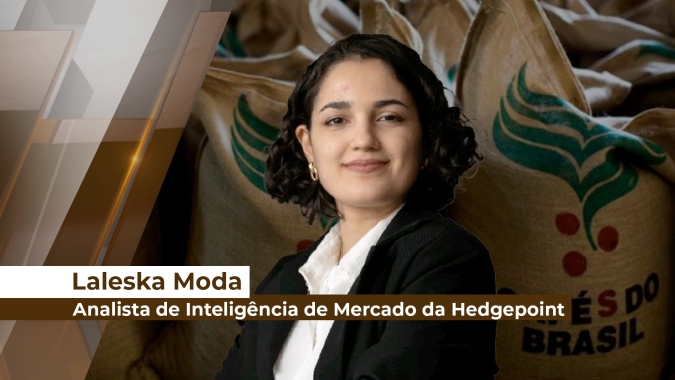 Mercado do café: atual cenário e expectativas para as próximas safras