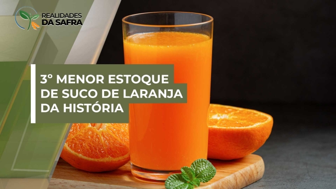 Apesar de aumento, safra 23/24 se encerra com 3º menor estoque de suco de laranja da história
