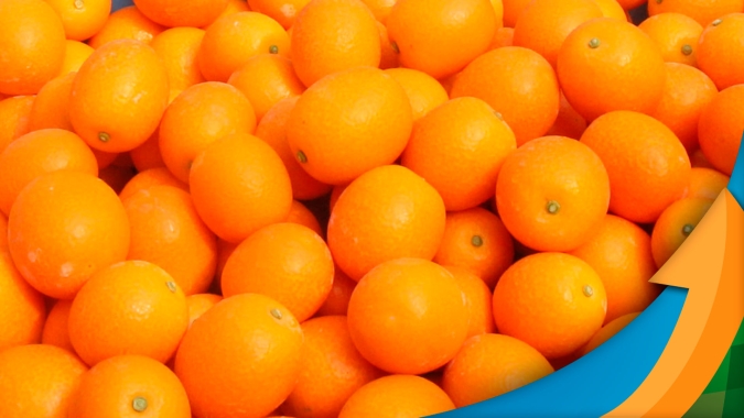 Com principais países produtores enfrentando problemas, mesmo com queda no consumo, suco de laranja deve se manter com preços firmes