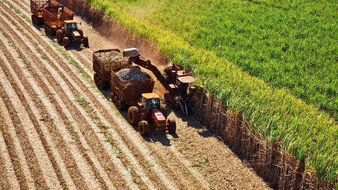 Aumento dos preços internacionais dos fertilizantes e diminuição da produtividade deixam gestão dos produtores de cana no limite da sustentabilidade