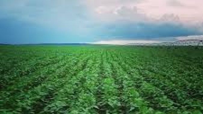 Plano Safra 2026/27: governo cria grupo de trabalho para avaliar impactos do El Niño na agropecuária