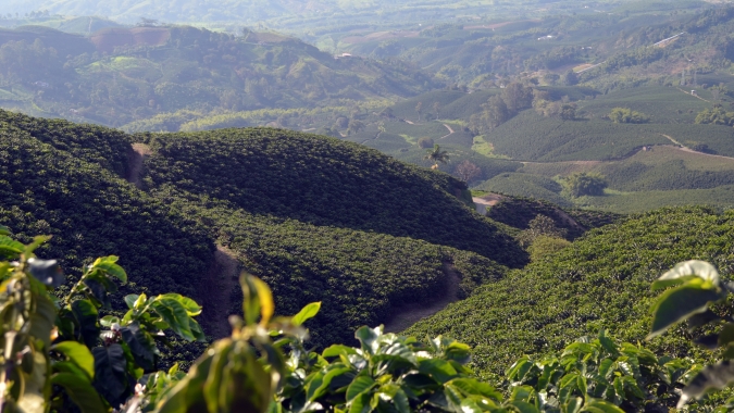 Café: Bolsas têm ajustes nos preços após valorização com suporte na oferta global
