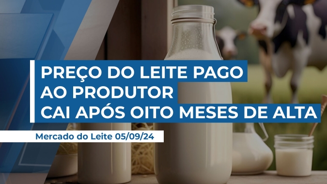Aumento da captação de leite, principalmente no Sul do país, interrompe movimento de alta no pagamento ao produtor