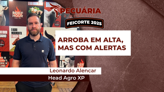 Cenário é de alta para arroba ao longo de 2025, mas atenção para dólar e oferta de confinamento