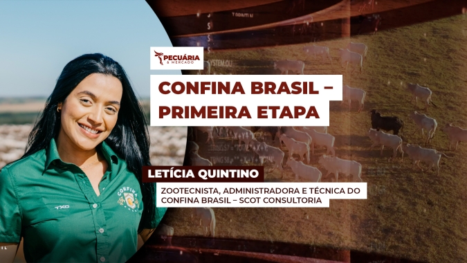 Avanço das tecnologias nos confinamentos e uso estratégico de coprodutos na dieta são destaques do confinamento em 2025