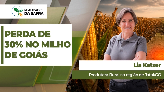 Sudoeste goiano terá perdas de, no mínimo, 30% na produtividade do milho