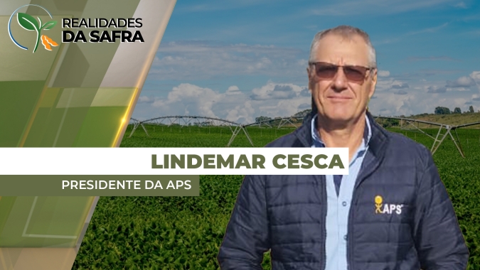 Regiões do Paraguai tem 17 dias sem chuvas e já há perda de produtividade na soja