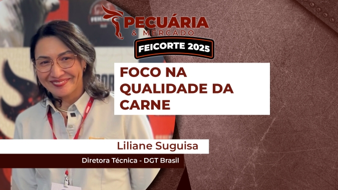 Todas as raças podem produzir carne de qualidade, mas é preciso identificar e reproduzir animais diferenciados