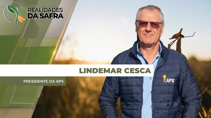 Colheita da soja avança no Paraguai com produtividades muito distintas