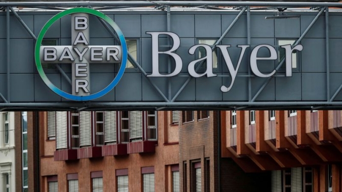 Bayer lançará milho mais curto com maior tolerância a extremos climáticos