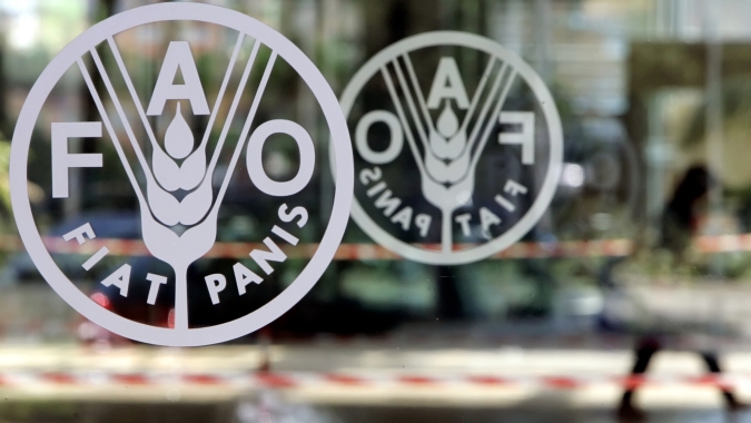 Preços mundiais de alimentos caem para mínima de 2 anos em maio, diz FAO