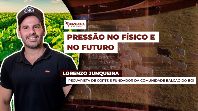 Pressão pontual sobre arroba do boi por conta do tarifaço não invalida perspectiva de retomada do mercado para 2025